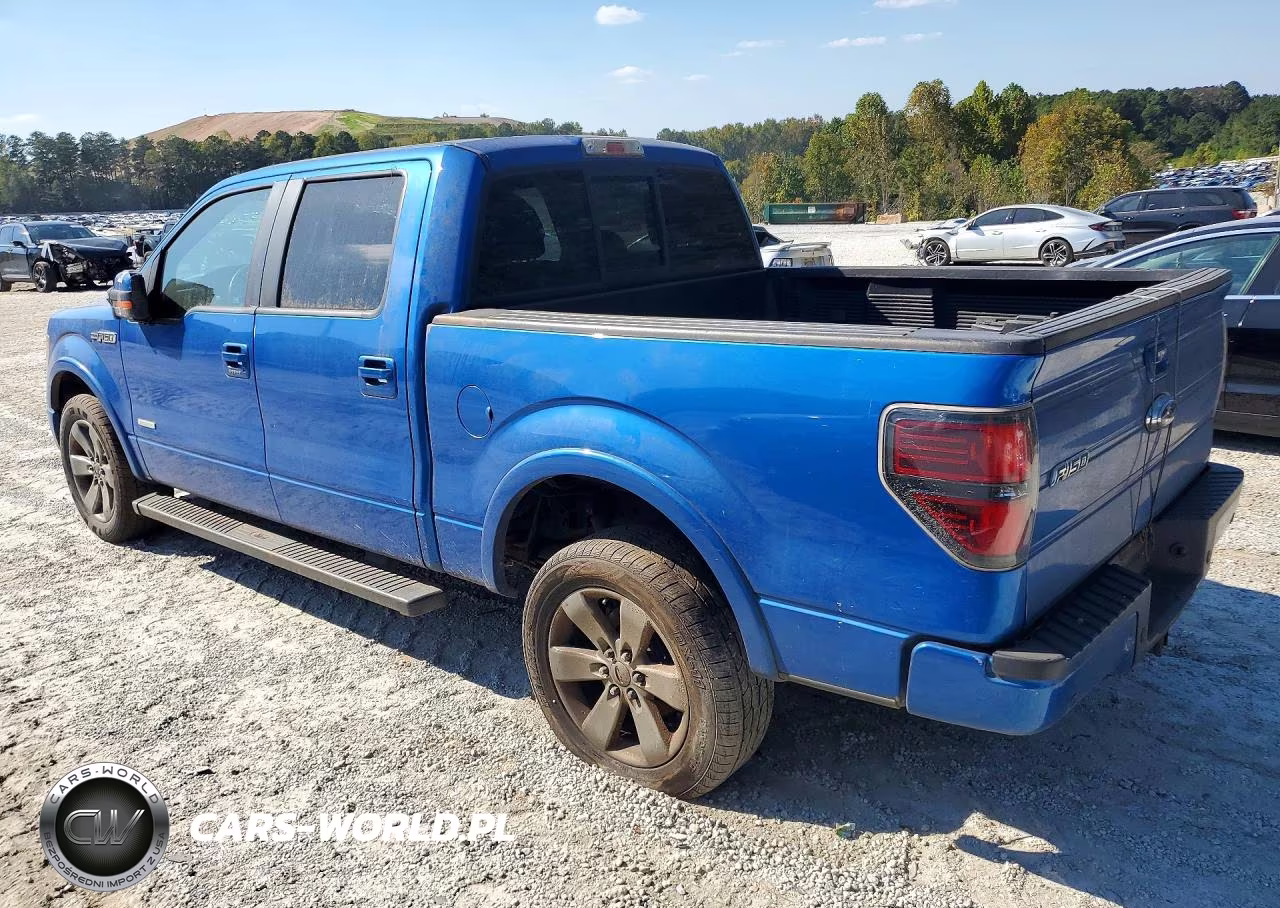 2014 Ford F150 Supercrew VIN:1FTFW1CT6EFC04391 - 2