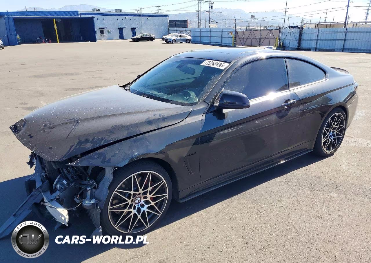 2019 BMW 430I VIN:WBA4W3C56KAF91621 - 1