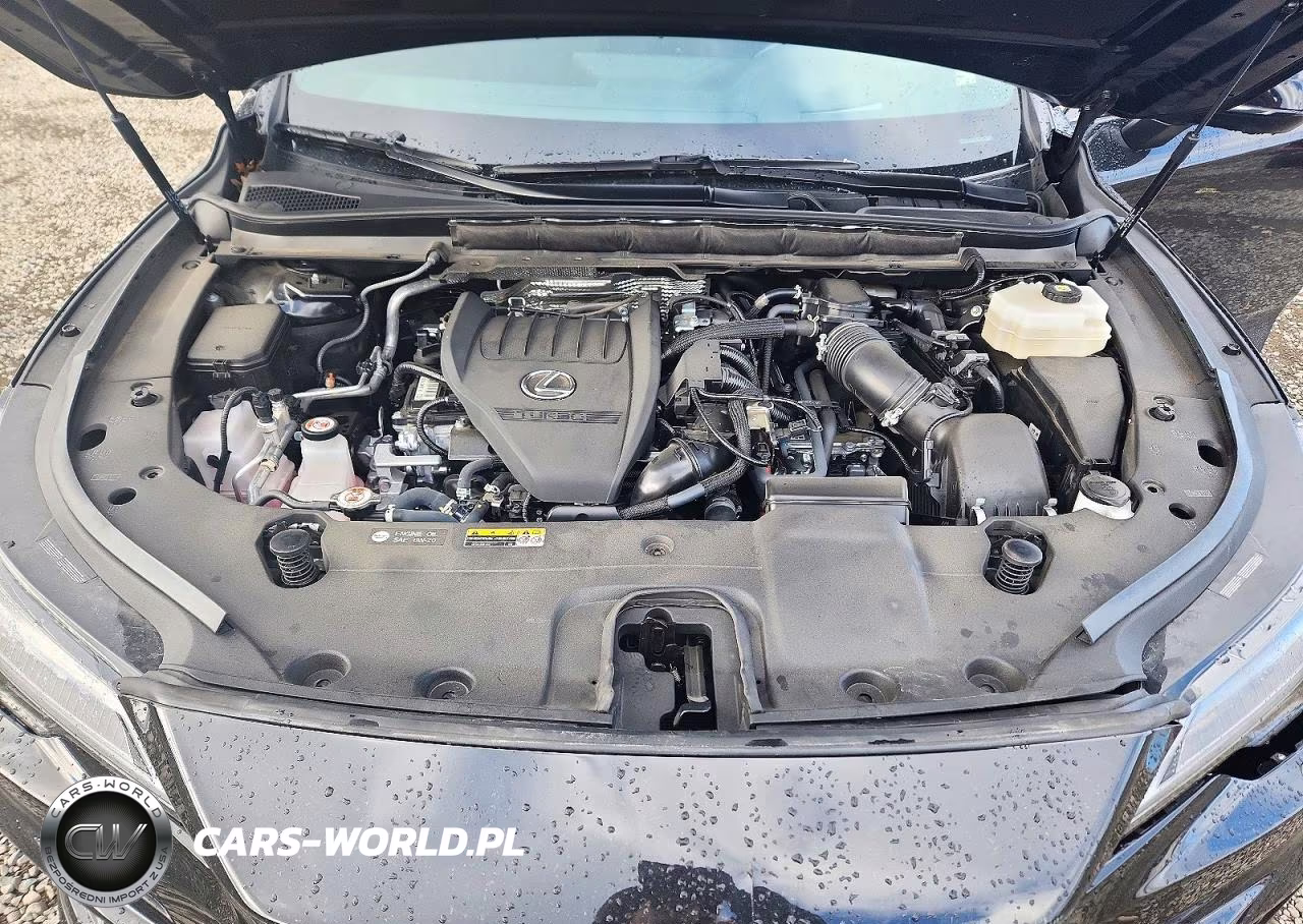 2023 Lexus Rx 500H F Sport VIN:2T2BCMEA6PC009516 - 12