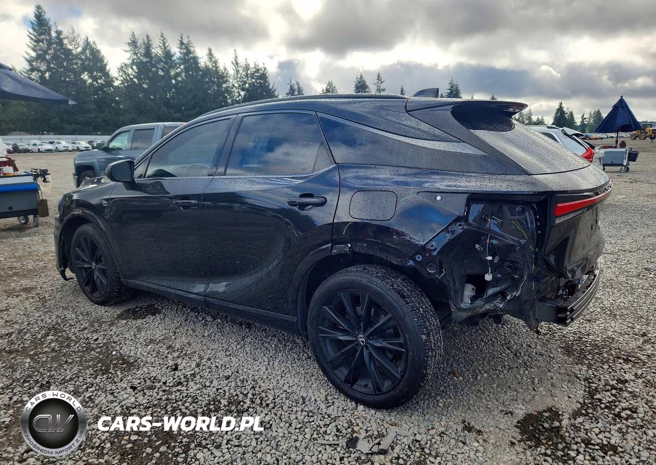 2023 Lexus Rx 500H F Sport VIN:2T2BCMEA6PC009516 - 2