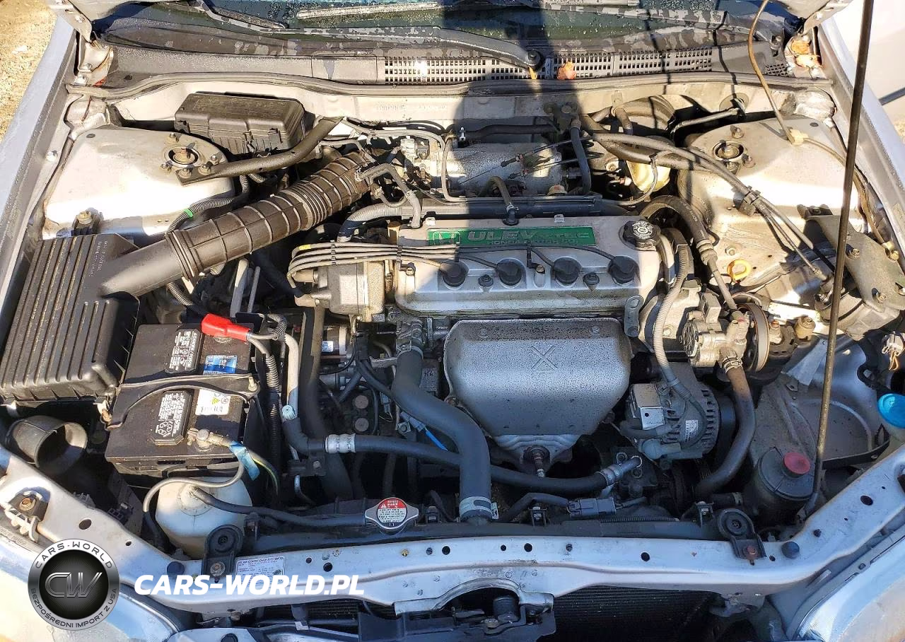 1999 Honda Accord Lx VIN:1HGCG665XXA122305 - 11