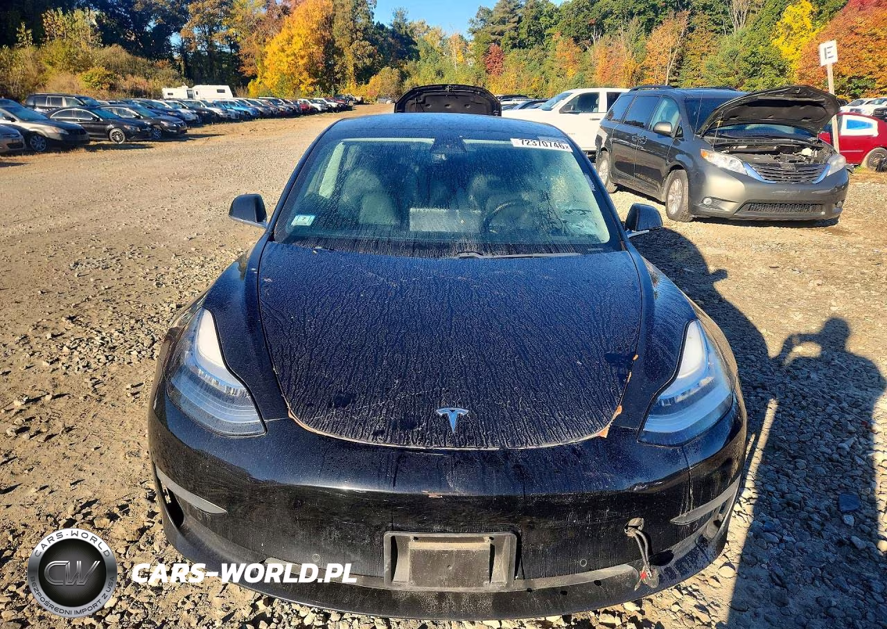 2019 Tesla Model 3 VIN:5YJ3E1EA3KF397777 - 5