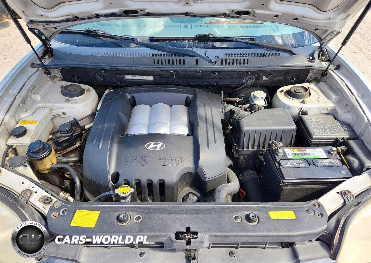 2005 Hyundai Santa Fe Gls VIN:KM8SC13DX5U911825 - 12