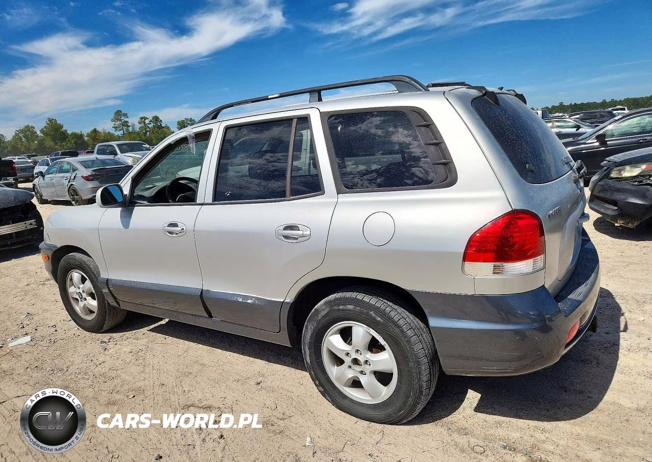 2005 Hyundai Santa Fe Gls VIN:KM8SC13DX5U911825 - 2