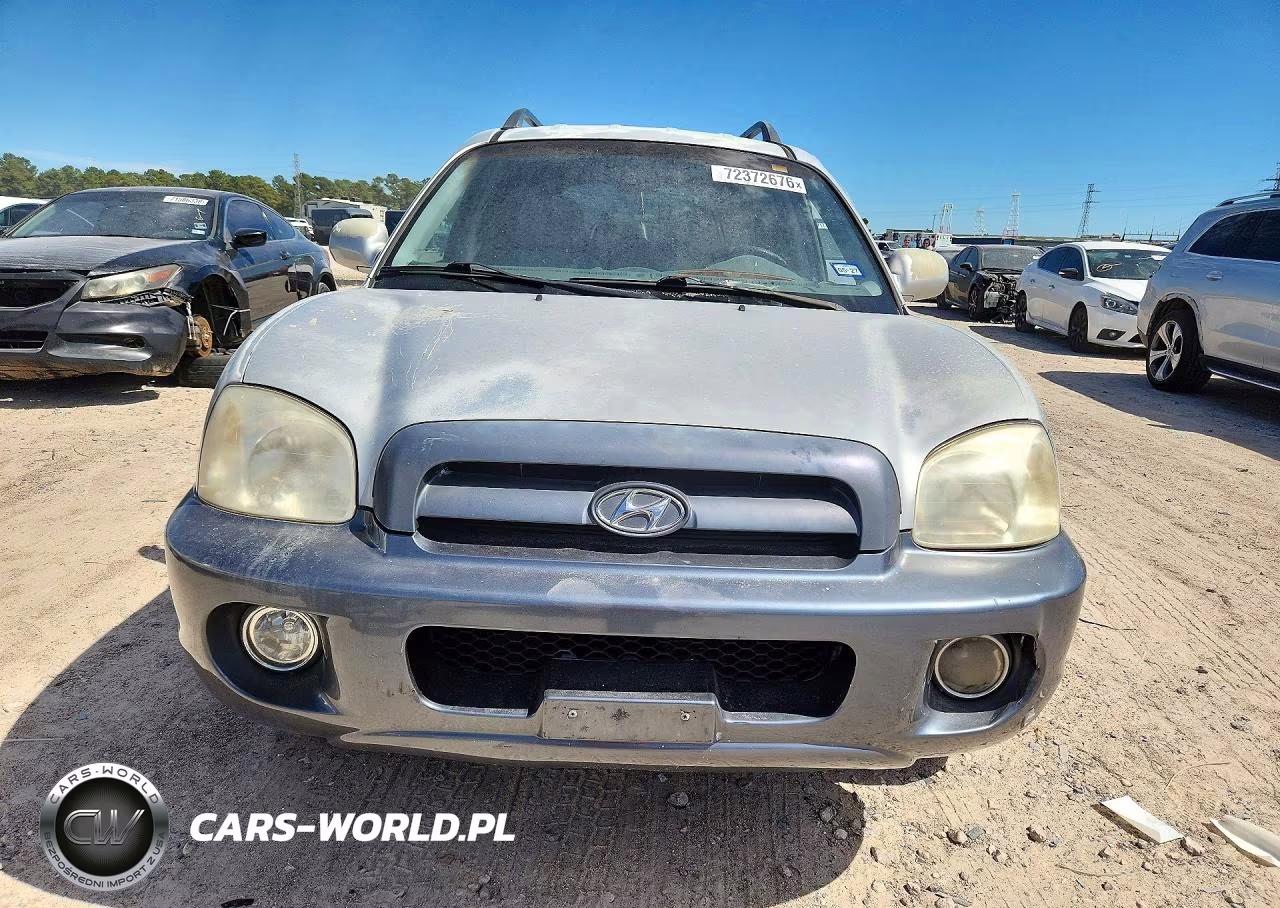 2005 Hyundai Santa Fe Gls VIN:KM8SC13DX5U911825 - 5