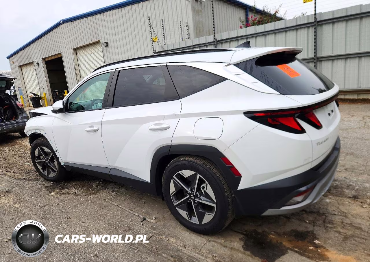 2025 Hyundai Tucson Sel VIN:5NMJB3DE5SH541909 - 2