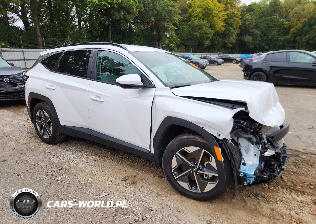 2025 Hyundai Tucson Sel VIN:5NMJB3DE5SH541909 - 4