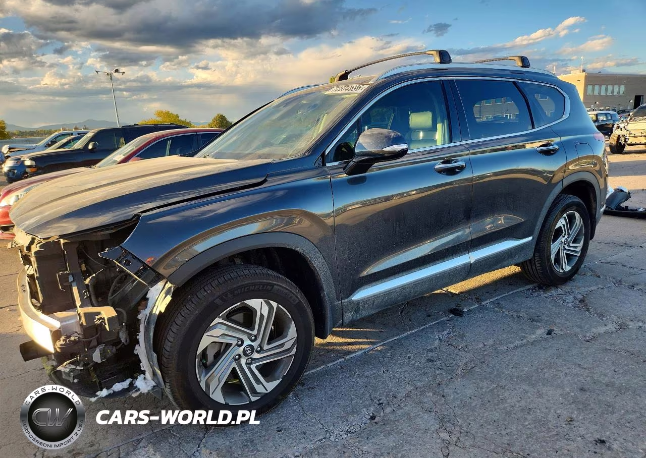 2022 Hyundai Santa Fe Sel VIN:5NMS3DAJ9NH428316 - 1