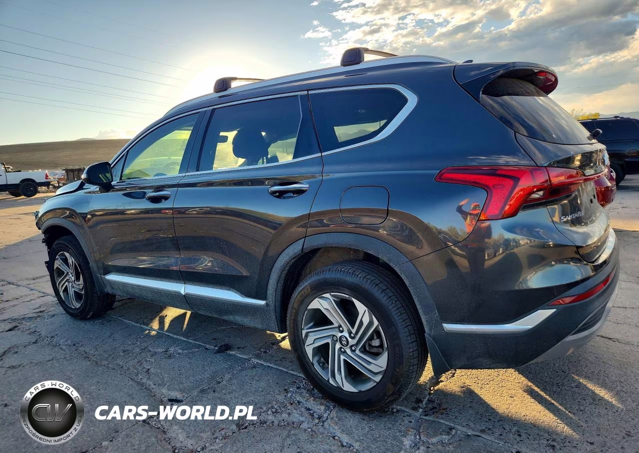 2022 Hyundai Santa Fe Sel VIN:5NMS3DAJ9NH428316 - 2