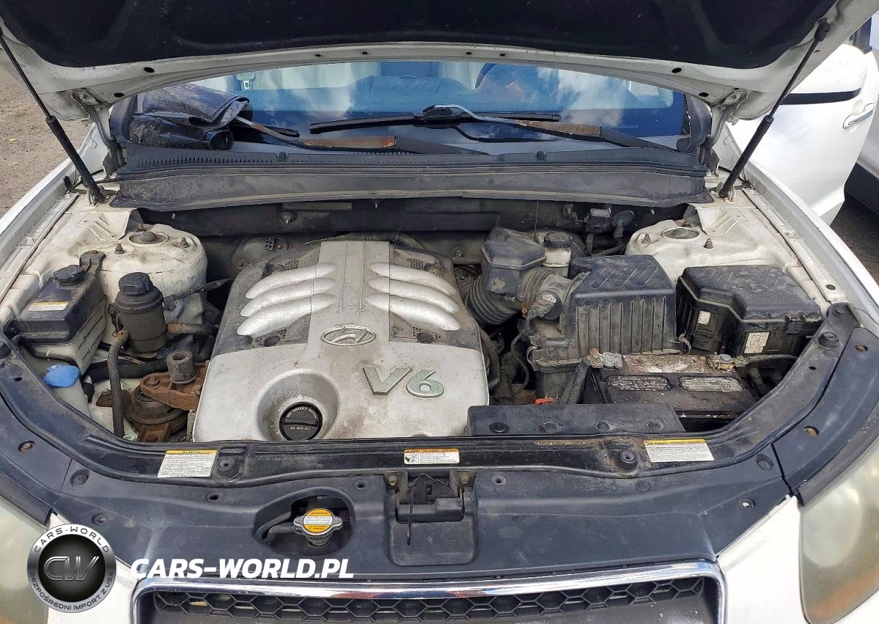 2007 Hyundai Santa Fe Se VIN:5NMSH73E37H050564 - 12