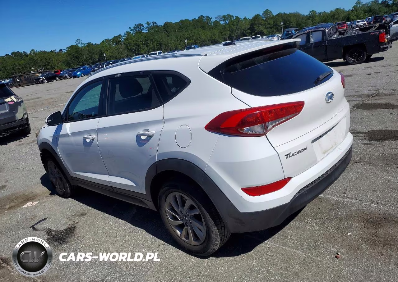 2016 Hyundai Tucson Se VIN:KM8J33A49GU045855 - 2