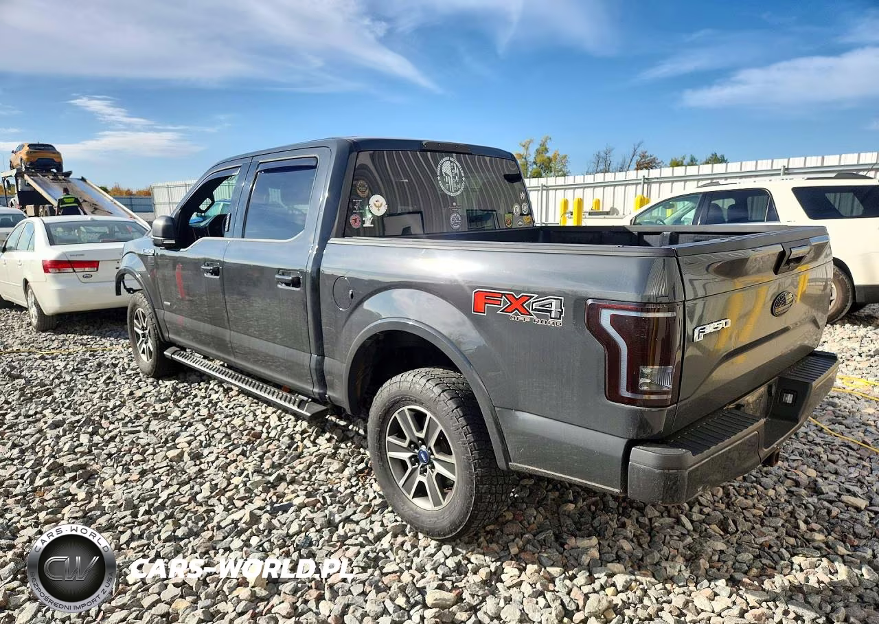 2016 Ford F150 Supercrew VIN:1FTEW1EG4GFA09744 - 2