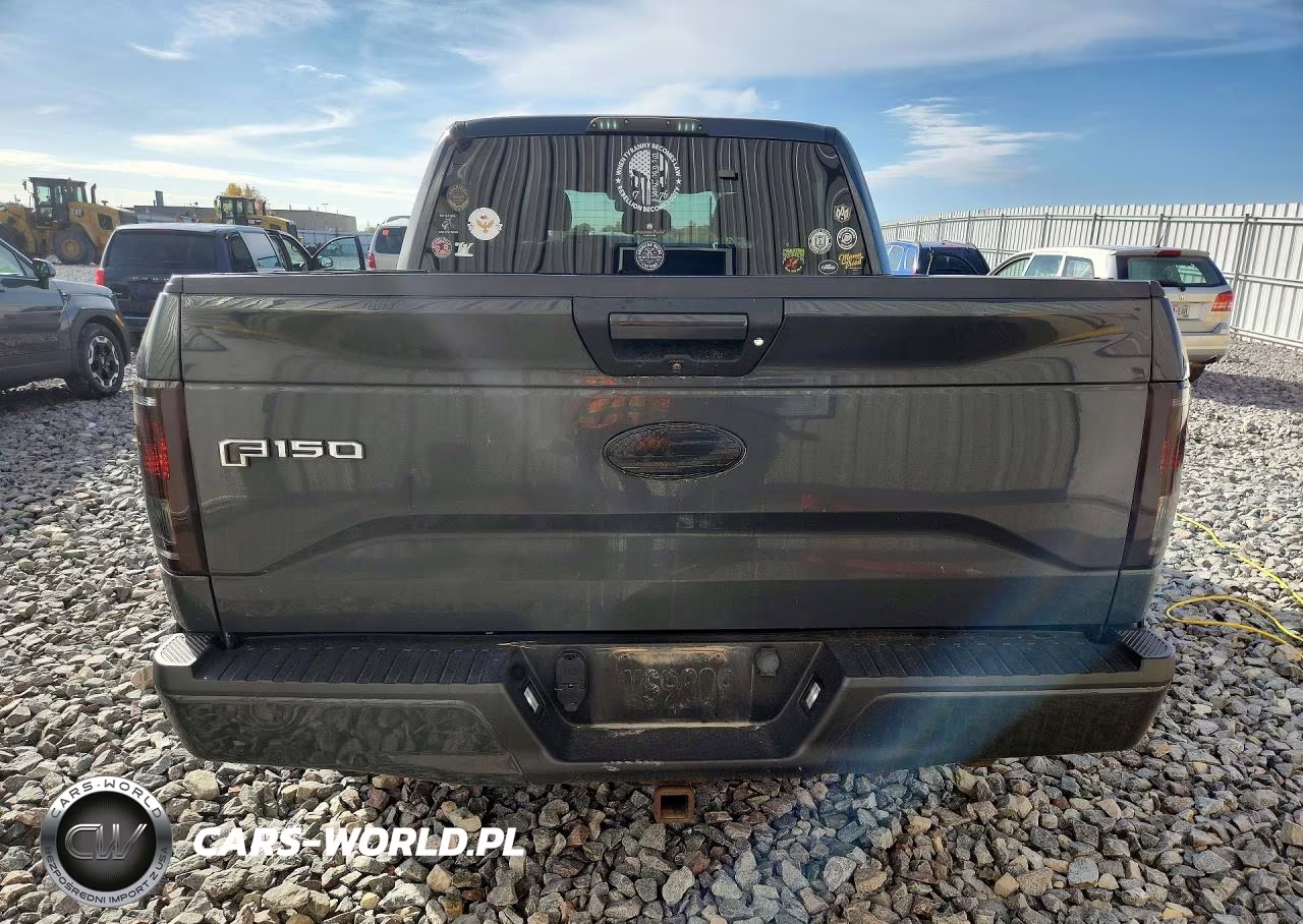 2016 Ford F150 Supercrew VIN:1FTEW1EG4GFA09744 - 6