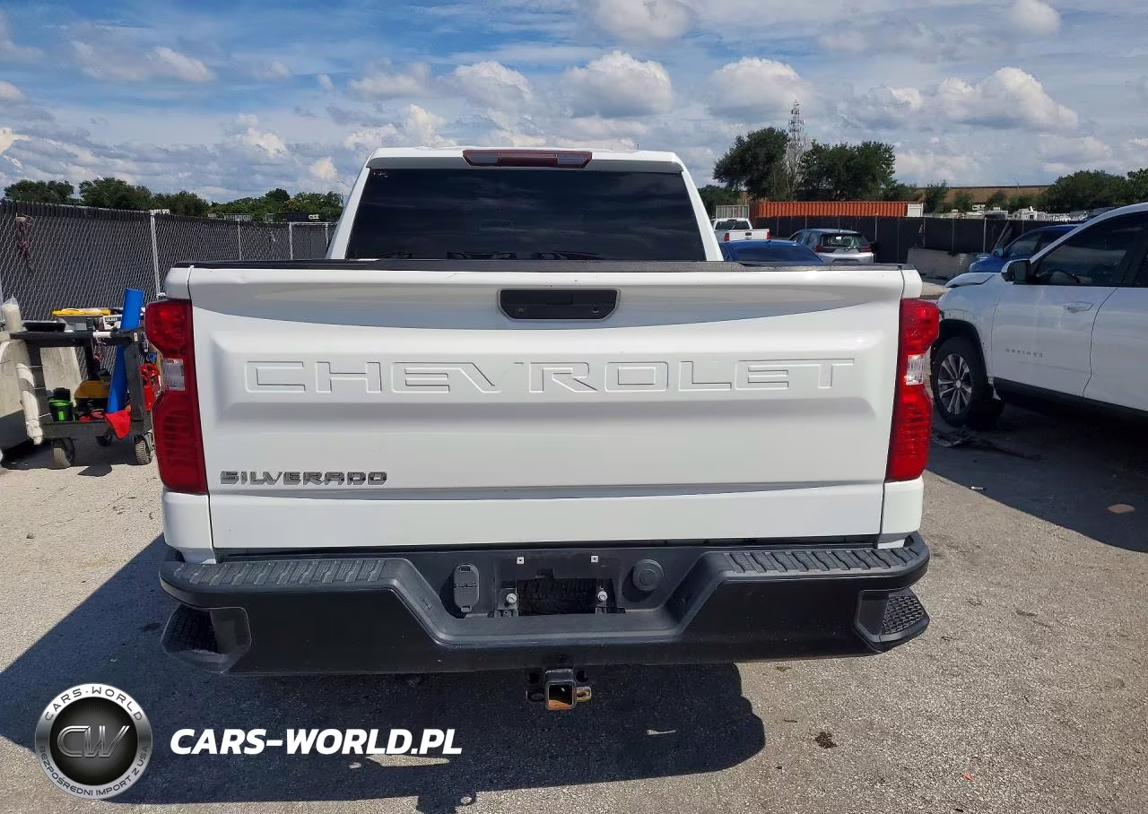 2020 Chevrolet Silverado K1500 VIN:1GCRYAEH3LZ131976 - 6