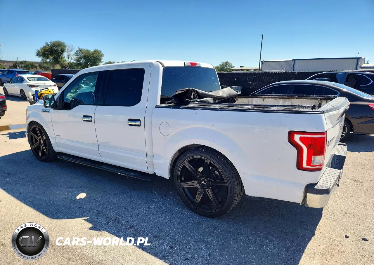 2017 Ford F150 Supercrew VIN:1FTEW1CG7HKD45769 - 2