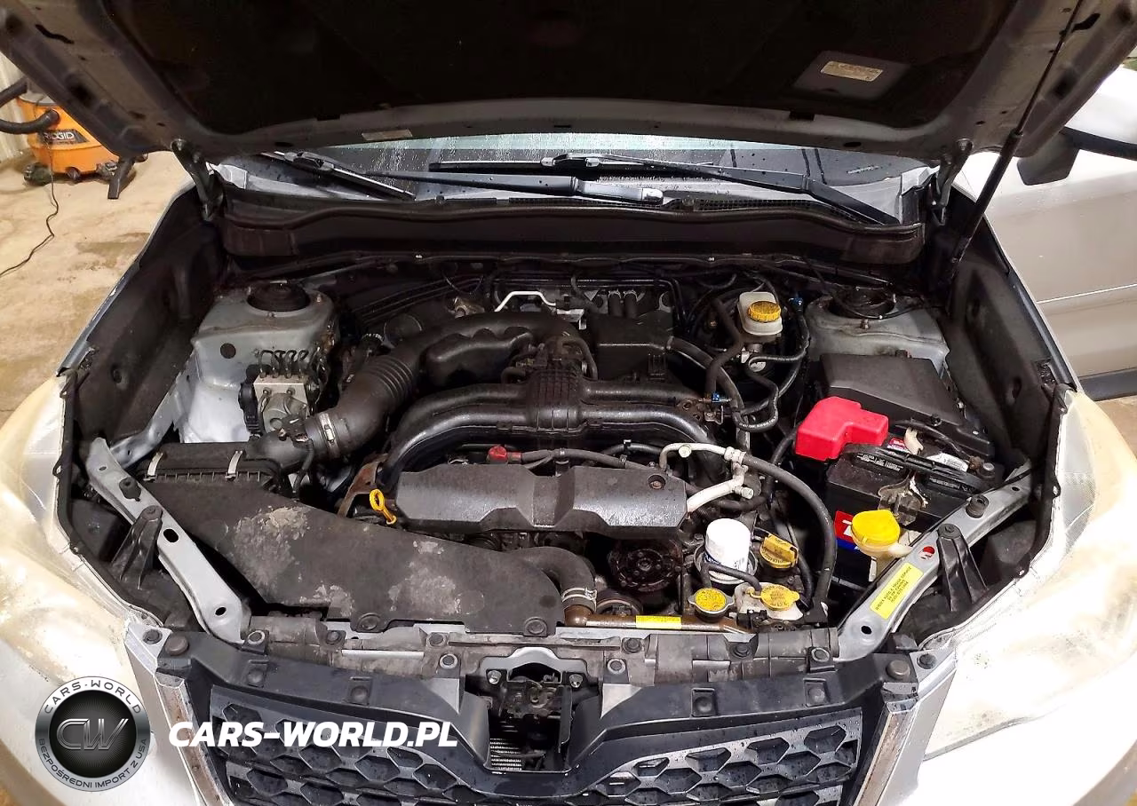 2014 Subaru Forester 2.5I Premium VIN:JF2SJAEC7EH545430 - 12