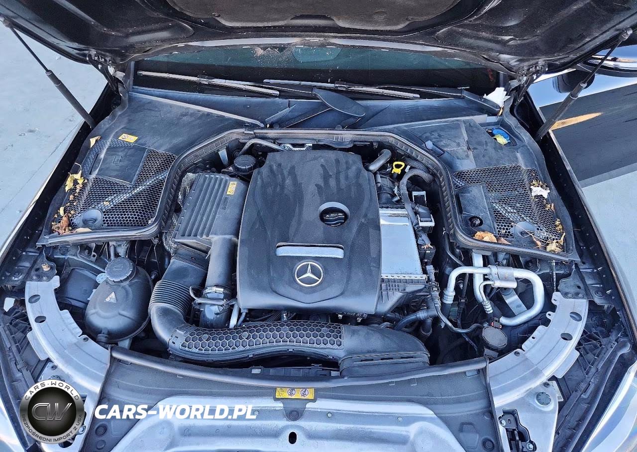 2016 Mercedes-Benz C 300 VIN:55SWF4JB2GU144451 - 11