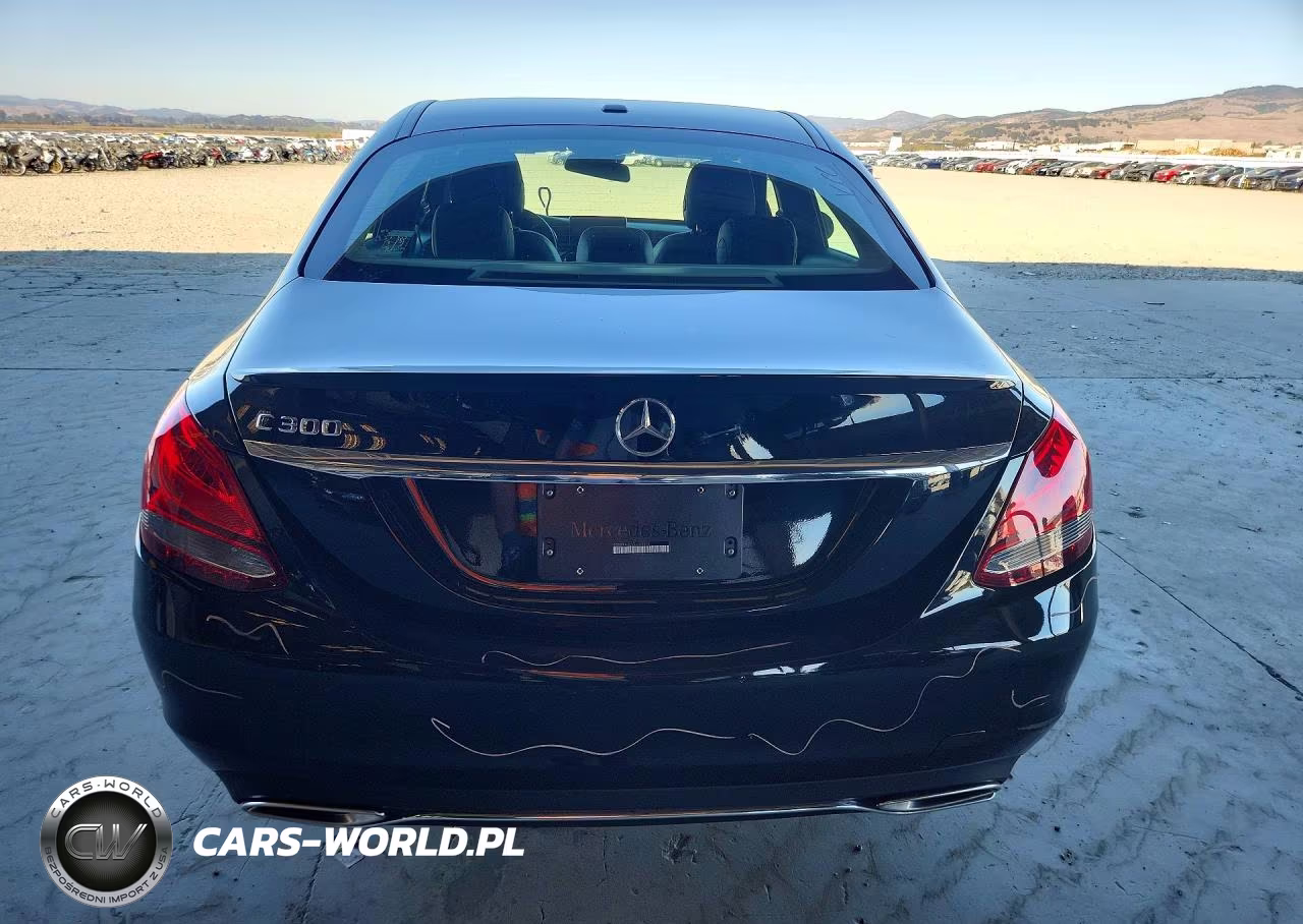 2016 Mercedes-Benz C 300 VIN:55SWF4JB2GU144451 - 6