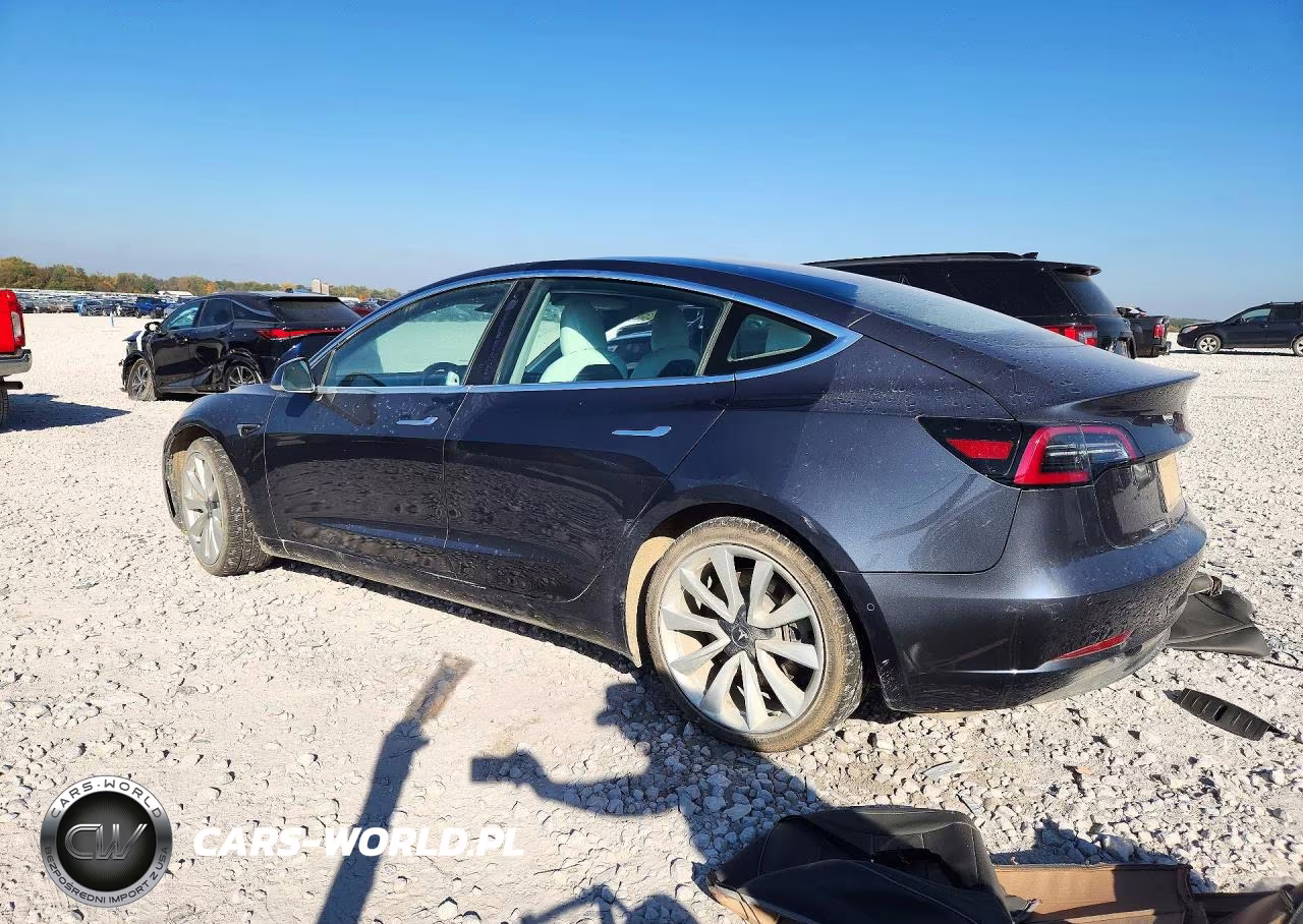 2020 Tesla Model 3 VIN:5YJ3E1EB4LF791461 - 2
