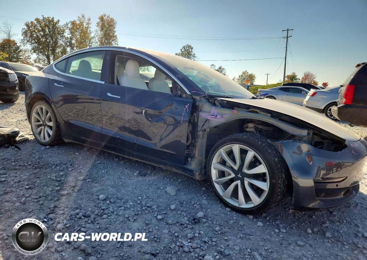 2020 Tesla Model 3 VIN:5YJ3E1EB4LF791461 - 4