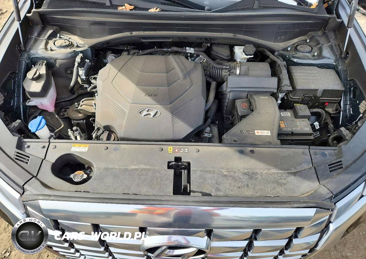 2023 Hyundai Palisade Calligraphy VIN:KM8R7DGE2PU634372 - 12