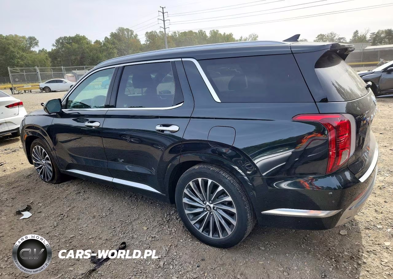 2023 Hyundai Palisade Calligraphy VIN:KM8R7DGE2PU634372 - 2