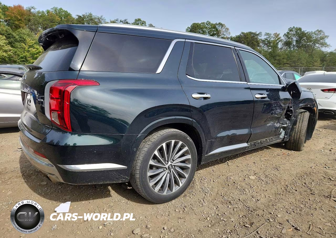 2023 Hyundai Palisade Calligraphy VIN:KM8R7DGE2PU634372 - 3