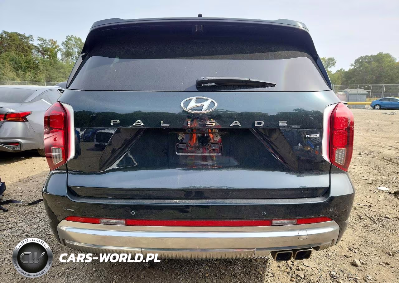 2023 Hyundai Palisade Calligraphy VIN:KM8R7DGE2PU634372 - 6
