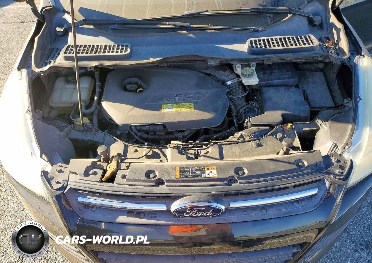 2014 Ford Escape Se VIN:1FMCU0GX0EUC08282 - 12