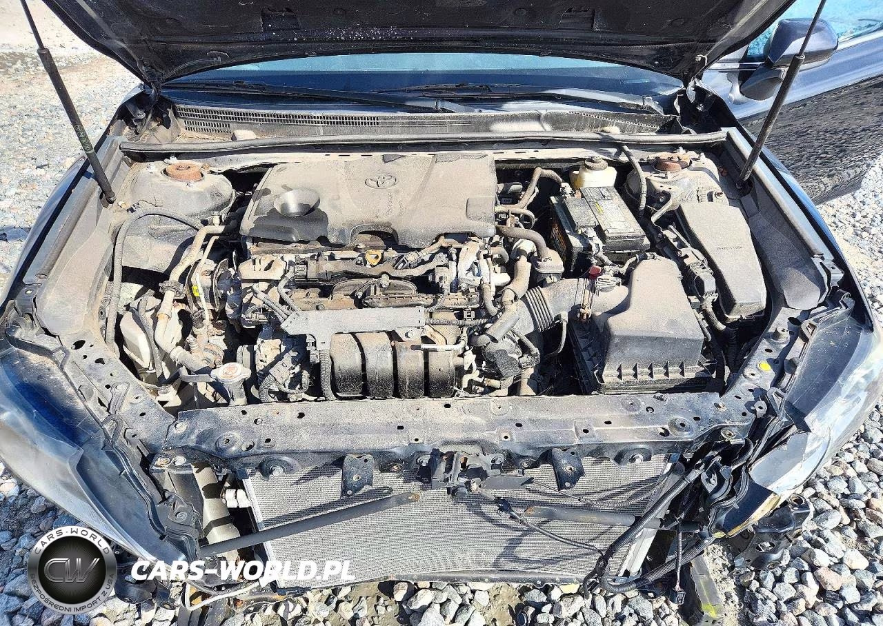 2020 Toyota Camry Le VIN:4T1C11AKXLU360143 - 11