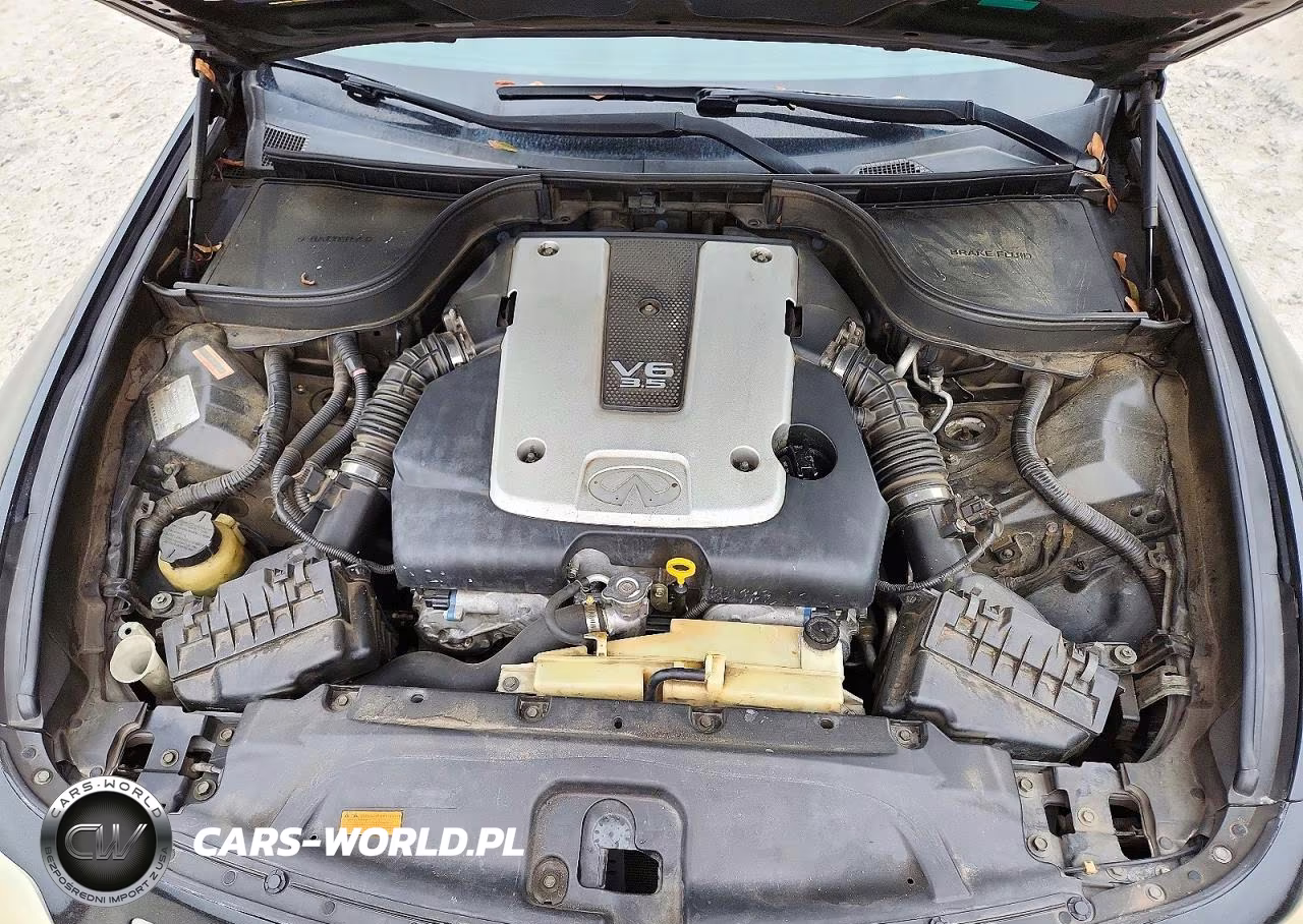 2007 Infiniti G35 Base VIN:JNKBV61E77M711249 - 11