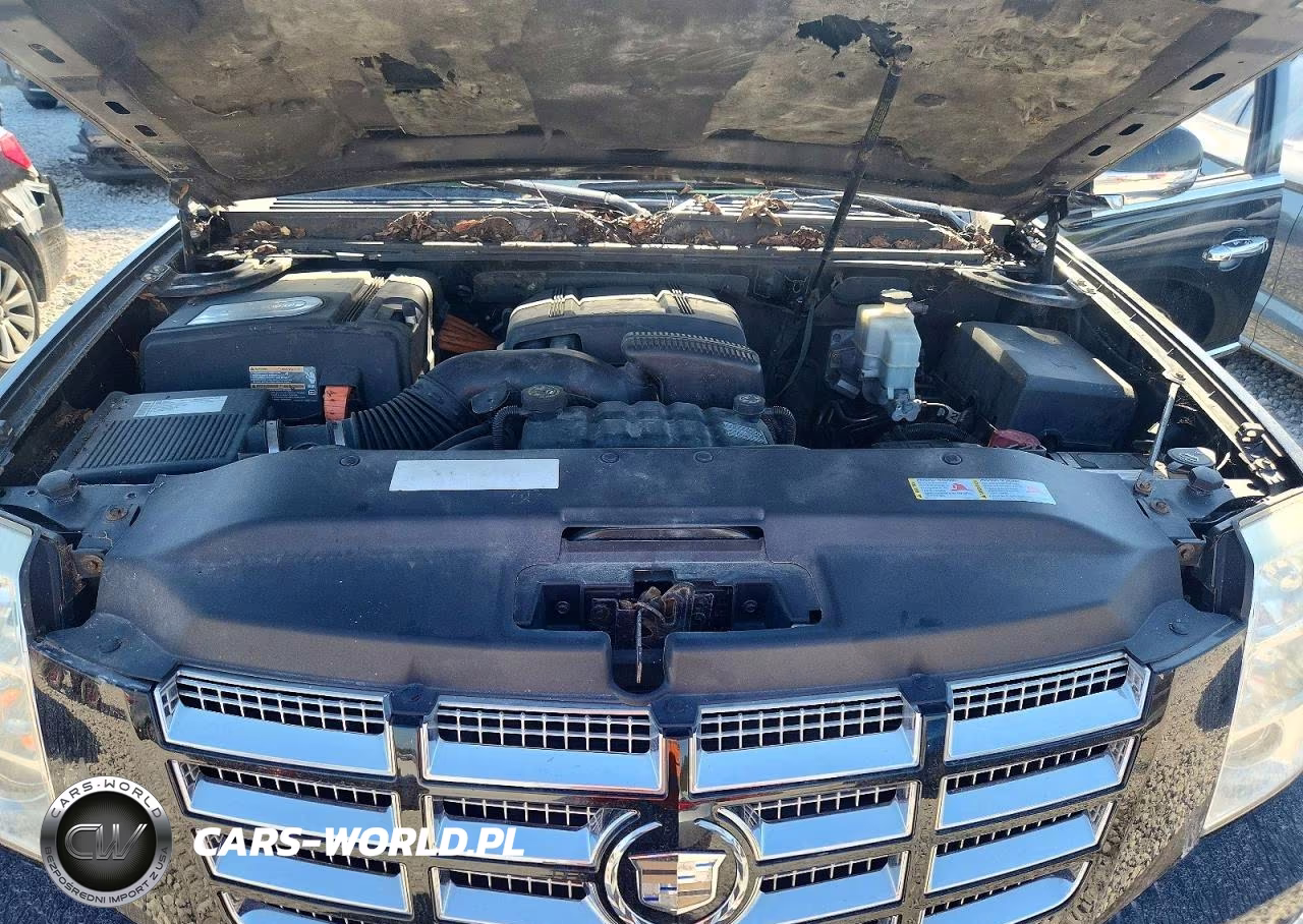 2009 Cadillac Escalade Hybrid VIN:1GYFC43559R127118 - 12