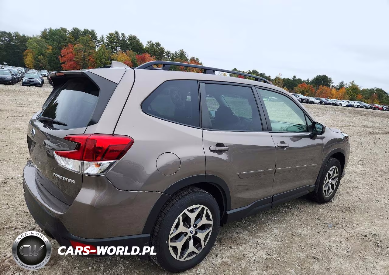 2022 Subaru Forester Premium VIN:JF2SKAEC9NH460599 - 3