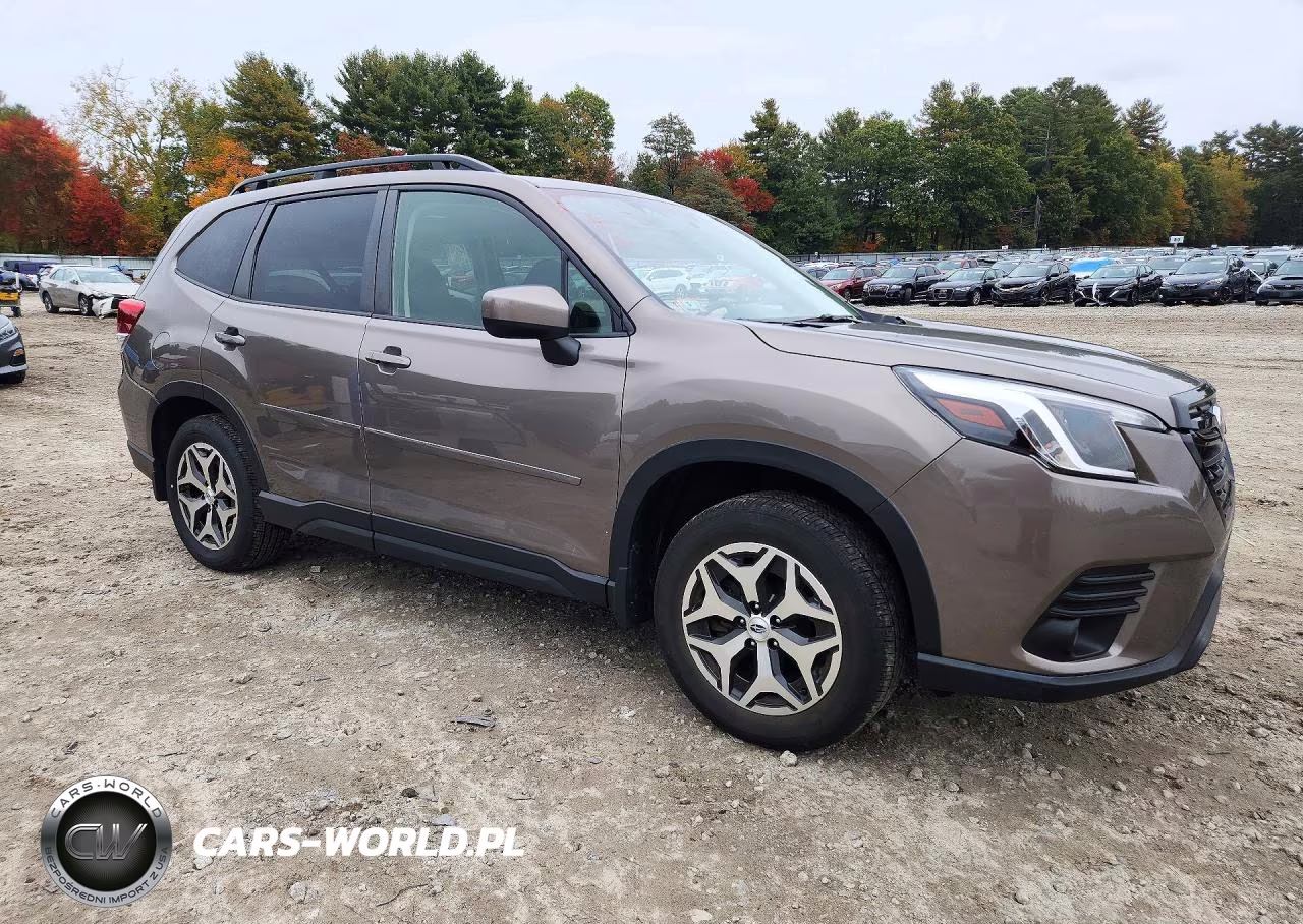 2022 Subaru Forester Premium VIN:JF2SKAEC9NH460599 - 4