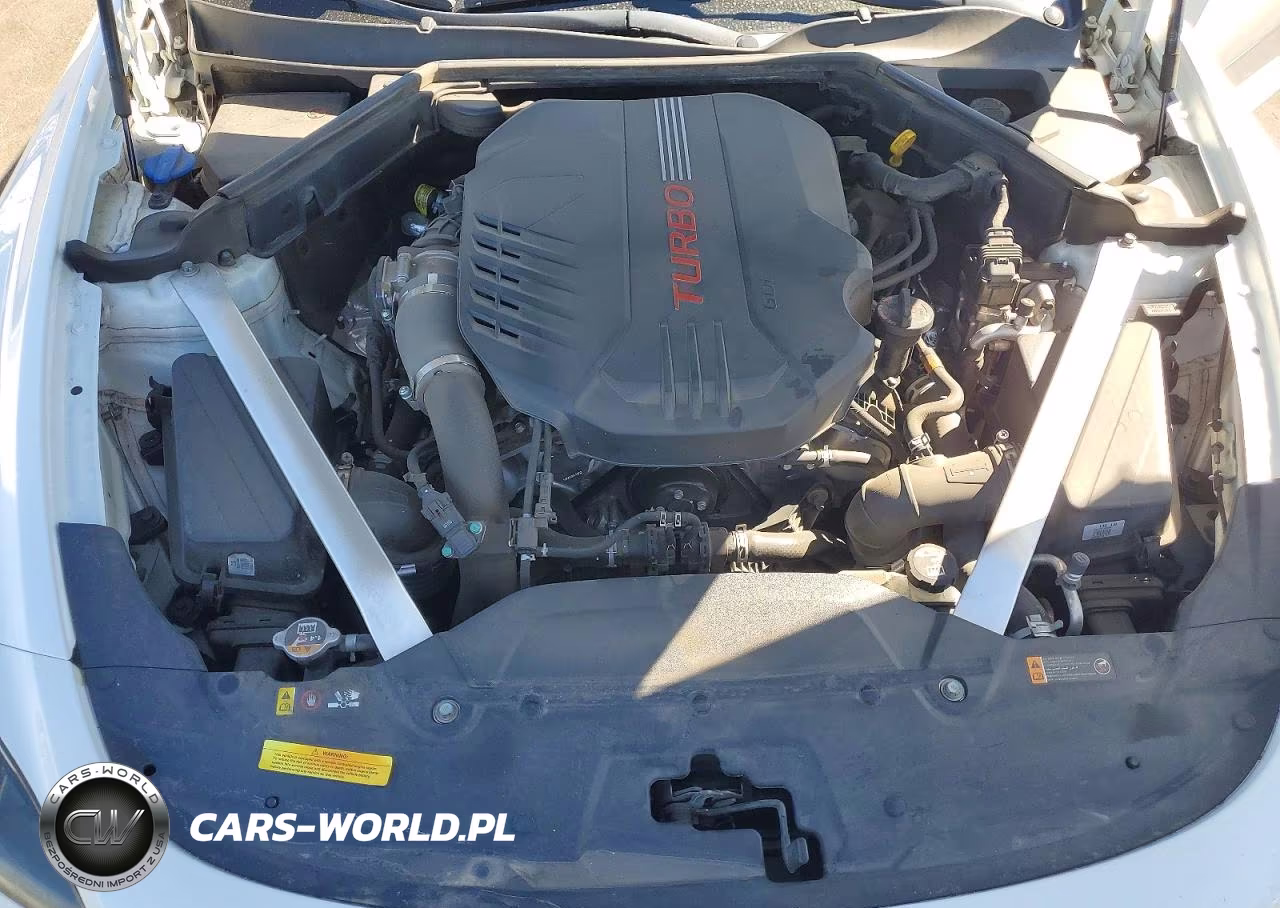2020 Kia Stinger Gt VIN:KNAE35LC8L6085538 - 11