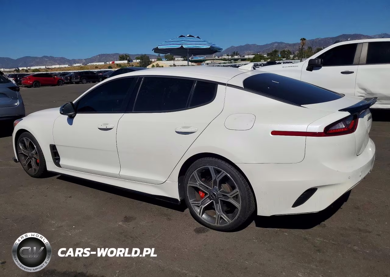 2020 Kia Stinger Gt VIN:KNAE35LC8L6085538 - 2