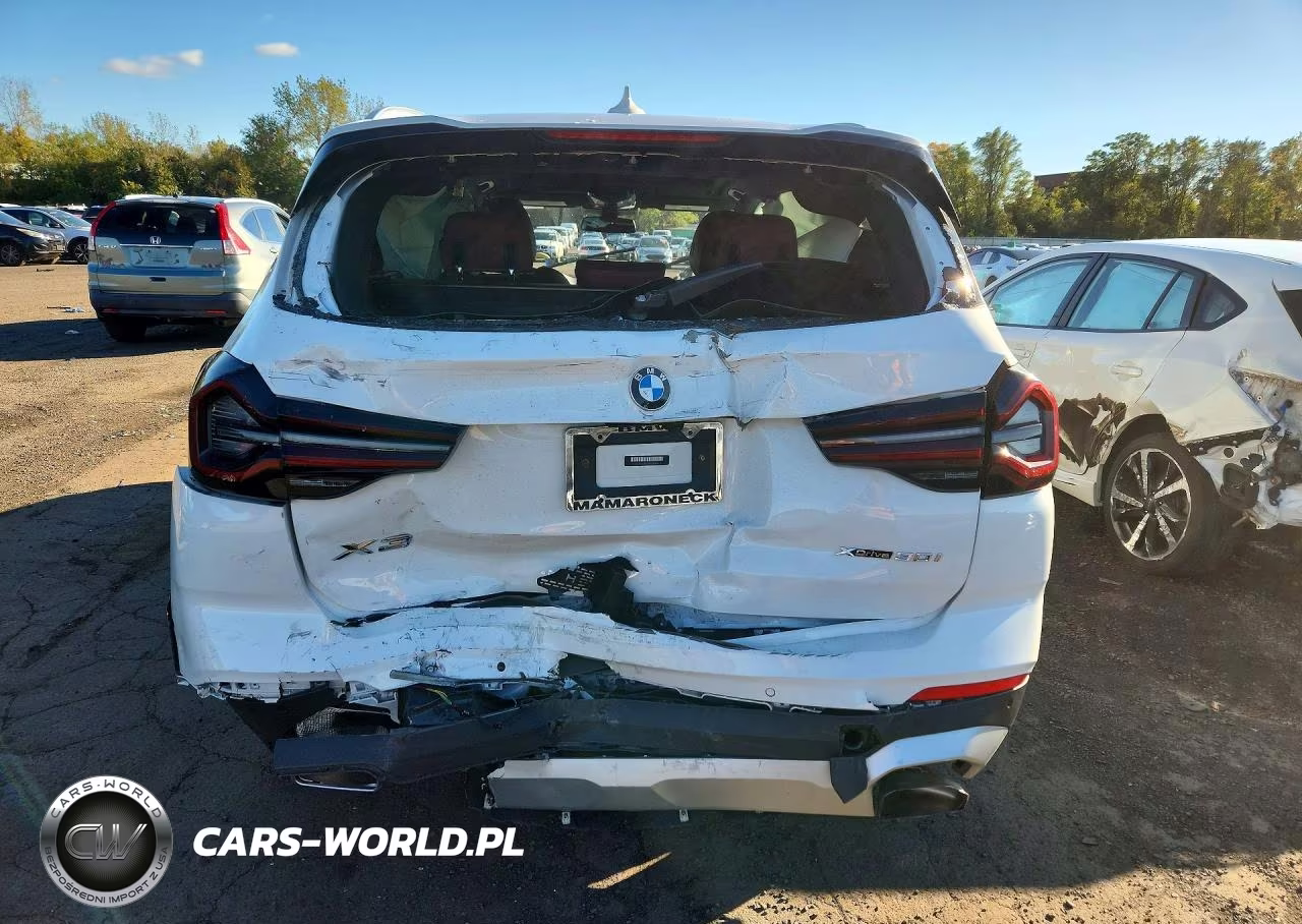 2023 BMW X3 xDrive30I VIN:5UX53DP03P9S56826 - 6