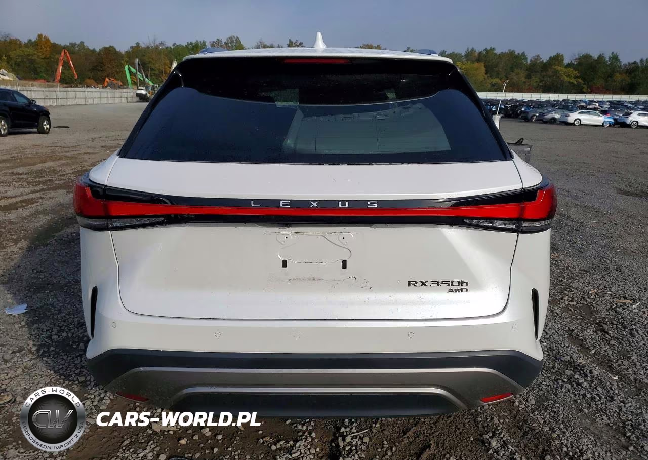 2024 Lexus Rx 350H Premium+ VIN:2T2BBMCA7RC061438 - 6