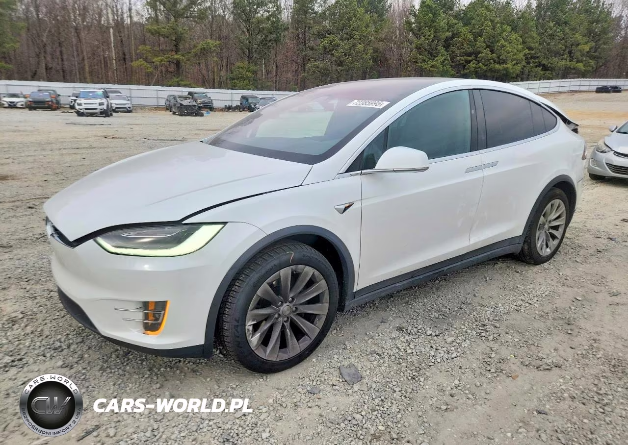 2020 Tesla Model X