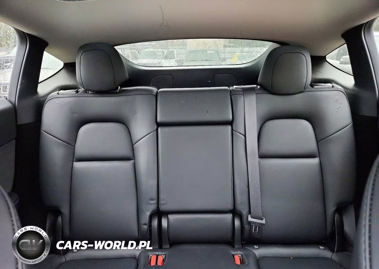 2023 Tesla Model Y VIN:7SAYGDEE9PF965903 - 10