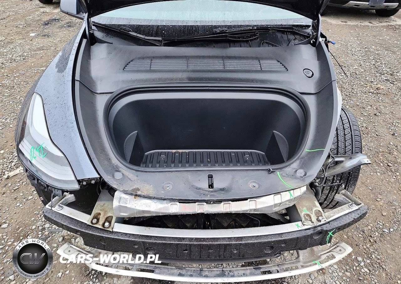 2023 Tesla Model Y VIN:7SAYGDEE9PF965903 - 12