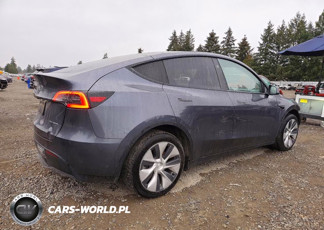 2023 Tesla Model Y VIN:7SAYGDEE9PF965903 - 3