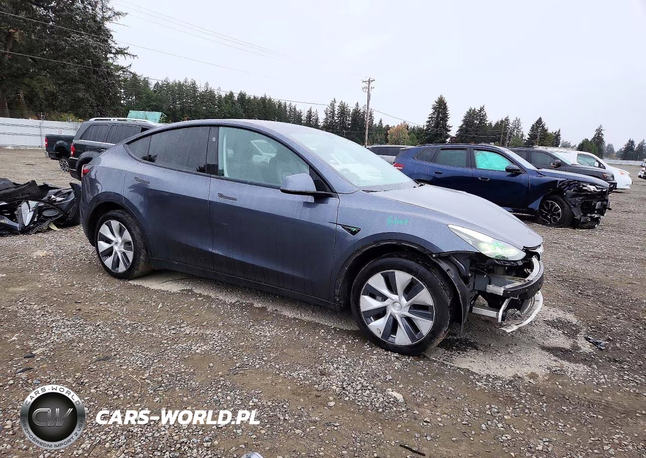 2023 Tesla Model Y VIN:7SAYGDEE9PF965903 - 4