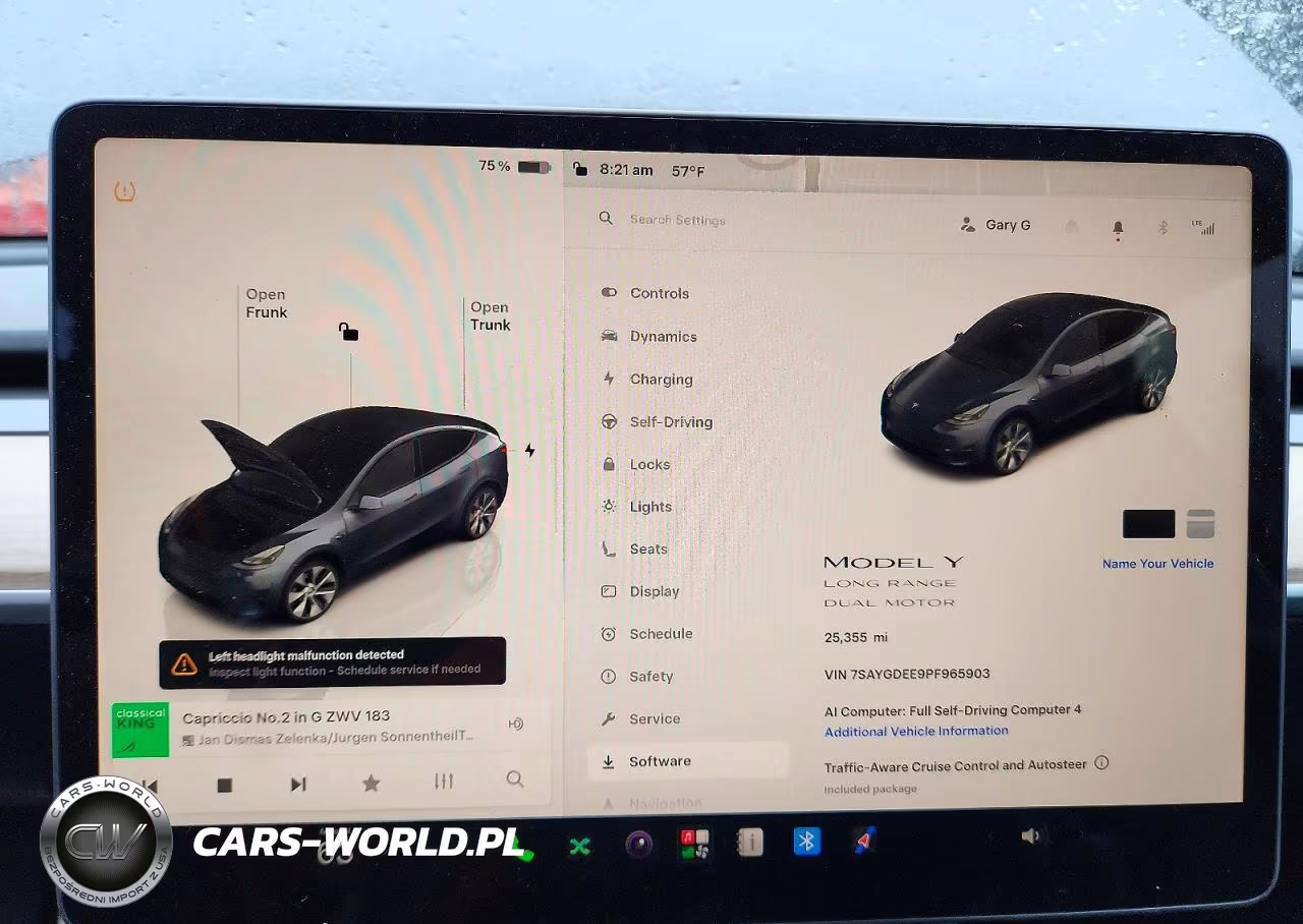 2023 Tesla Model Y VIN:7SAYGDEE9PF965903 - 9