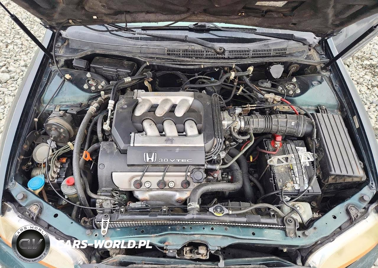 1998 Honda Accord Lx VIN:1HGCG1641WA008525 - 11