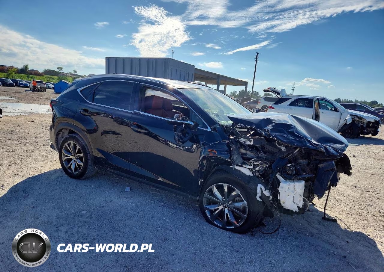 2021 Lexus Nx 300 F Sport VIN:JTJSARBZ3M2192818 - 4
