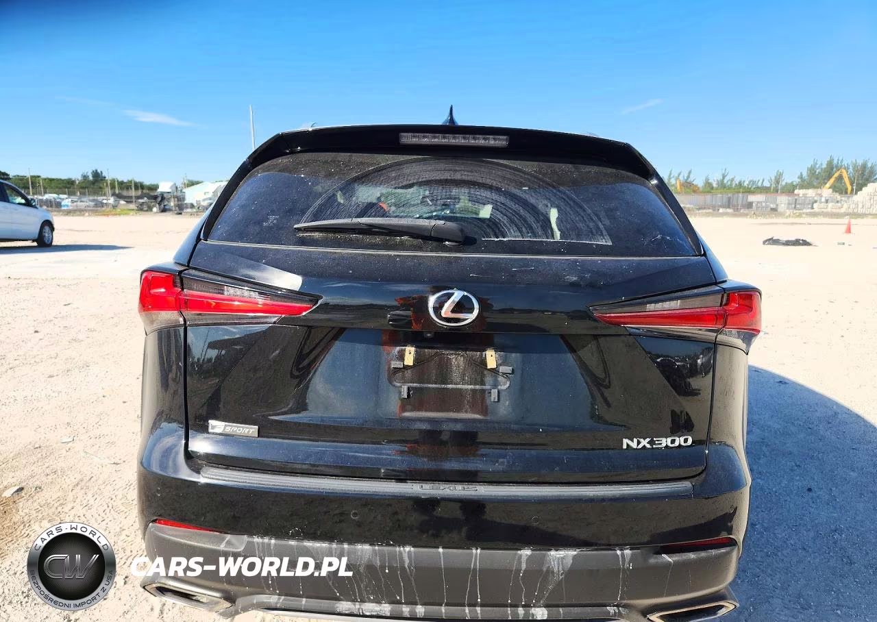 2021 Lexus Nx 300 F Sport VIN:JTJSARBZ3M2192818 - 6