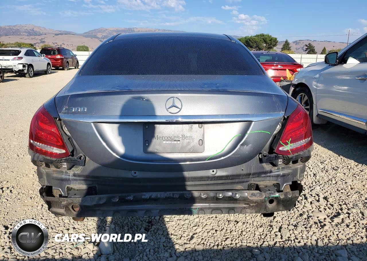 2017 Mercedes-Benz C 300 VIN:55SWF4JB3HU202858 - 6