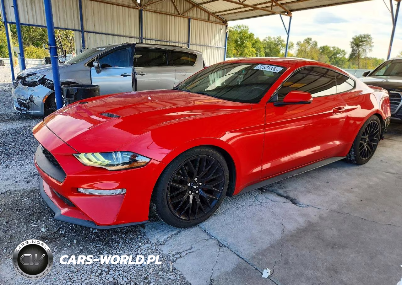 2019 Ford Mustang