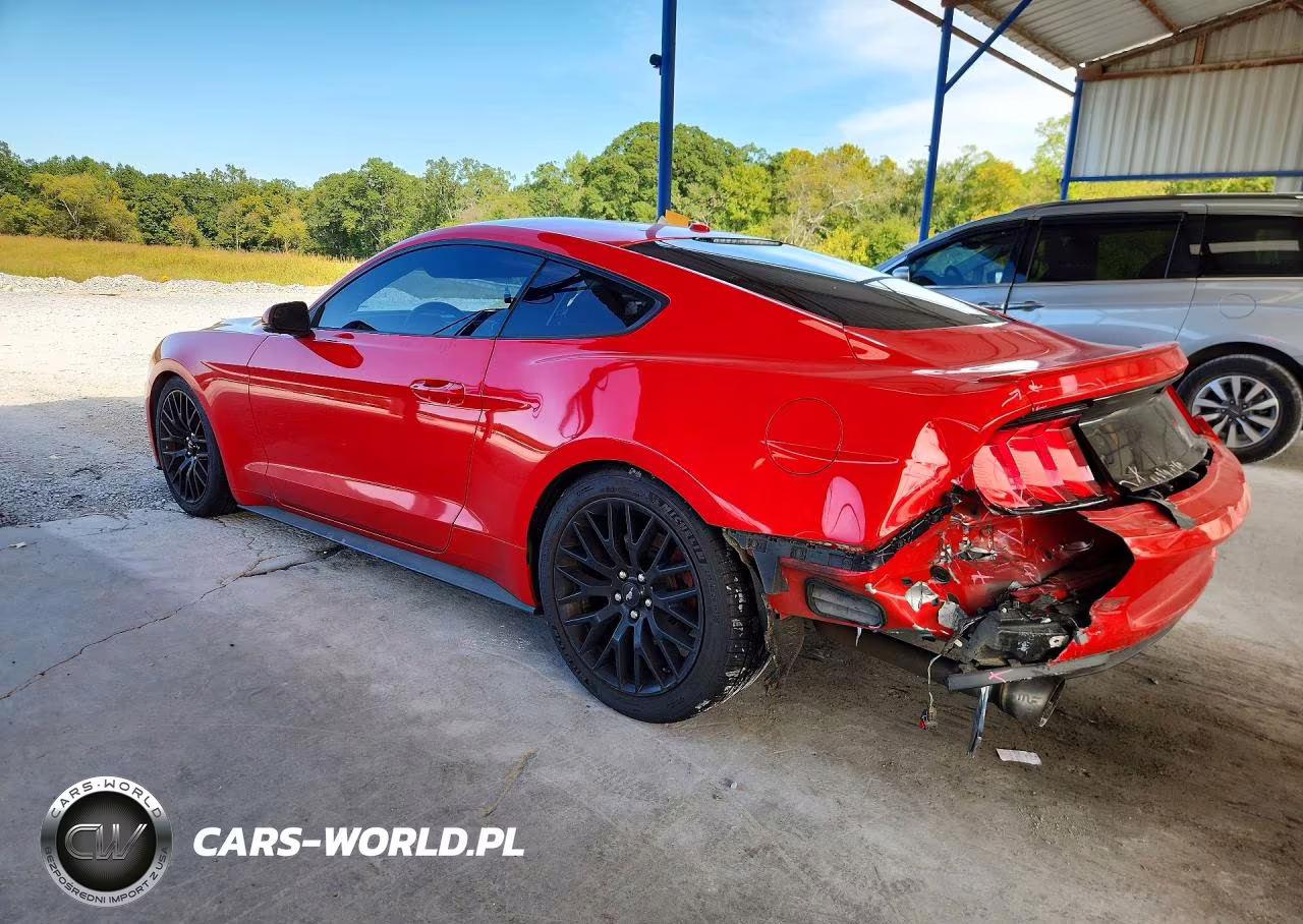 2019 Ford Mustang VIN:1FA6P8TH0K5172496 - 2